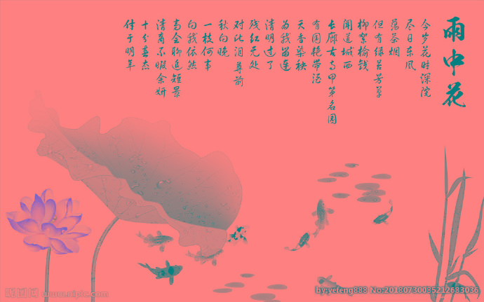 G雨中话 荷花背
