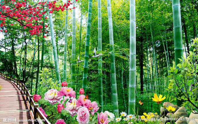 G竹林背景背景墙