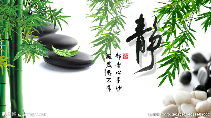 G竹子 静背景墙