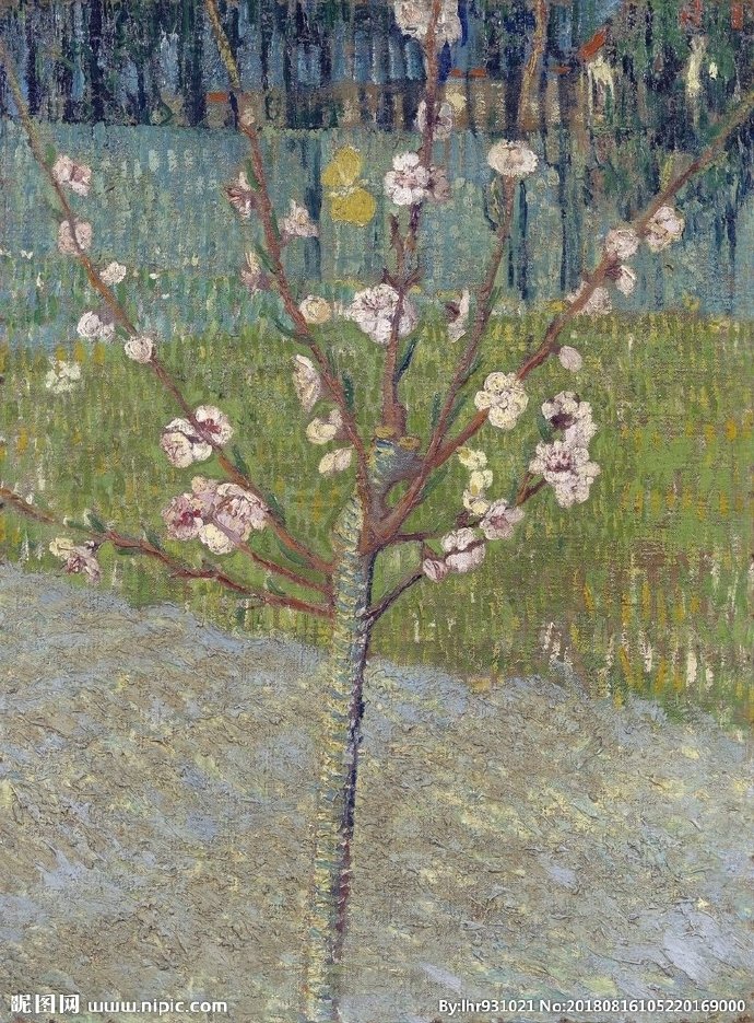 G装饰画 手绘花