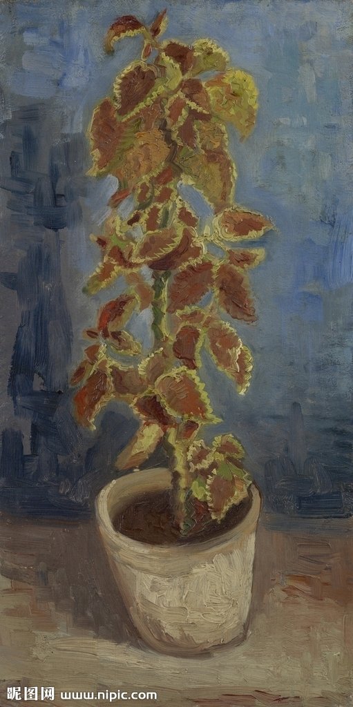 G装饰画 手绘花