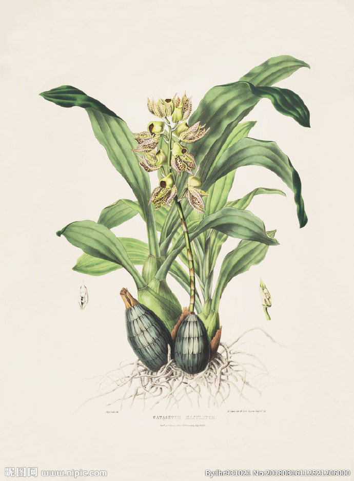 G装饰画 手绘花
