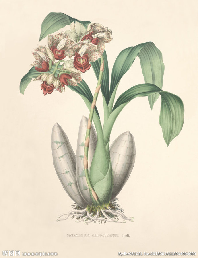 G装饰画 手绘花