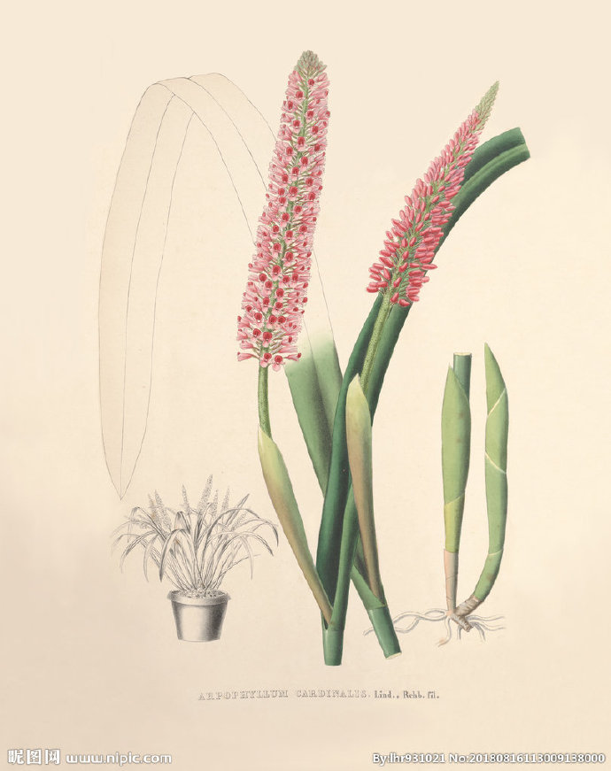 G装饰画 手绘花