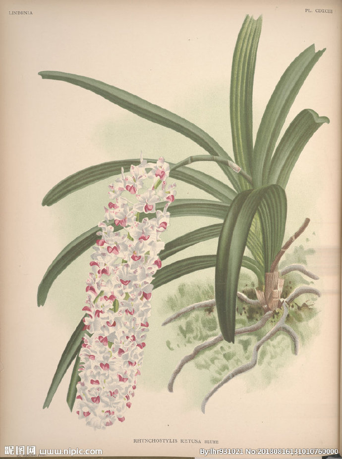 G装饰画 欧美装