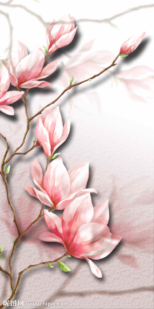 G手绘玉兰花玄关