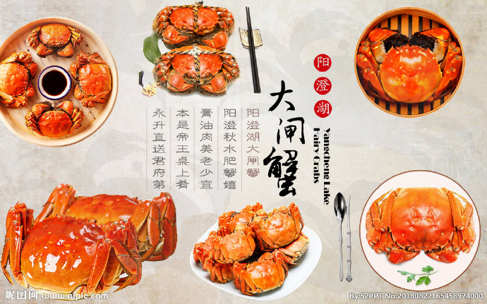G大闸蟹背景墙背