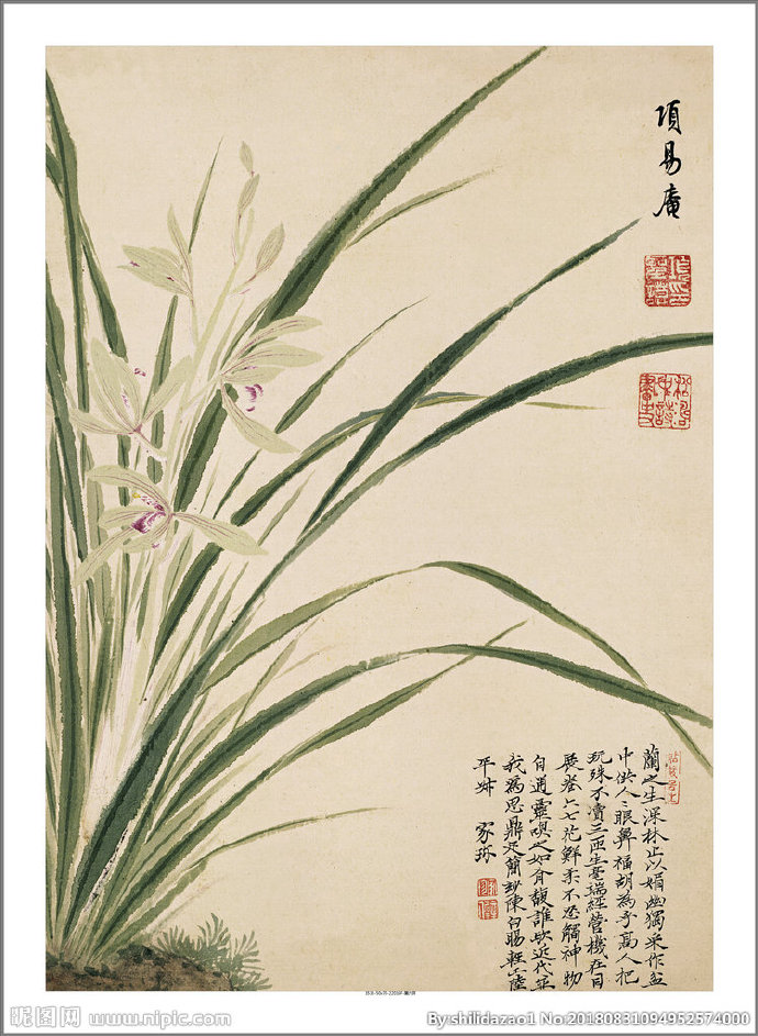 G新中式 花鸟禅