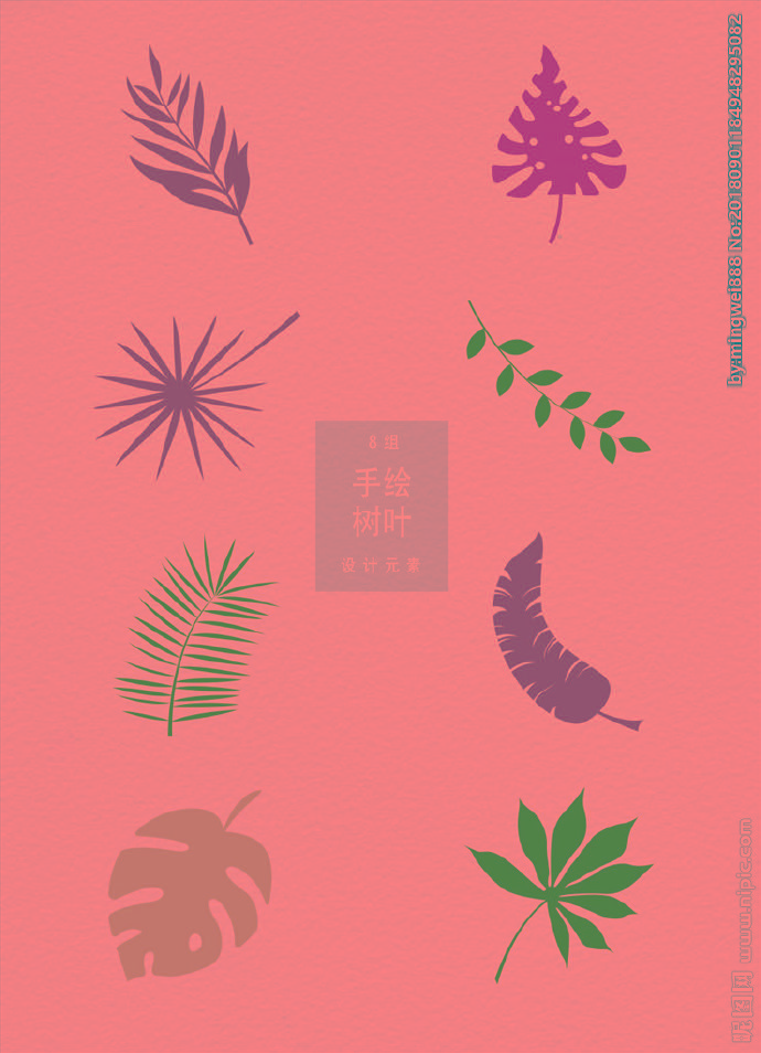 G热带树叶背景墙