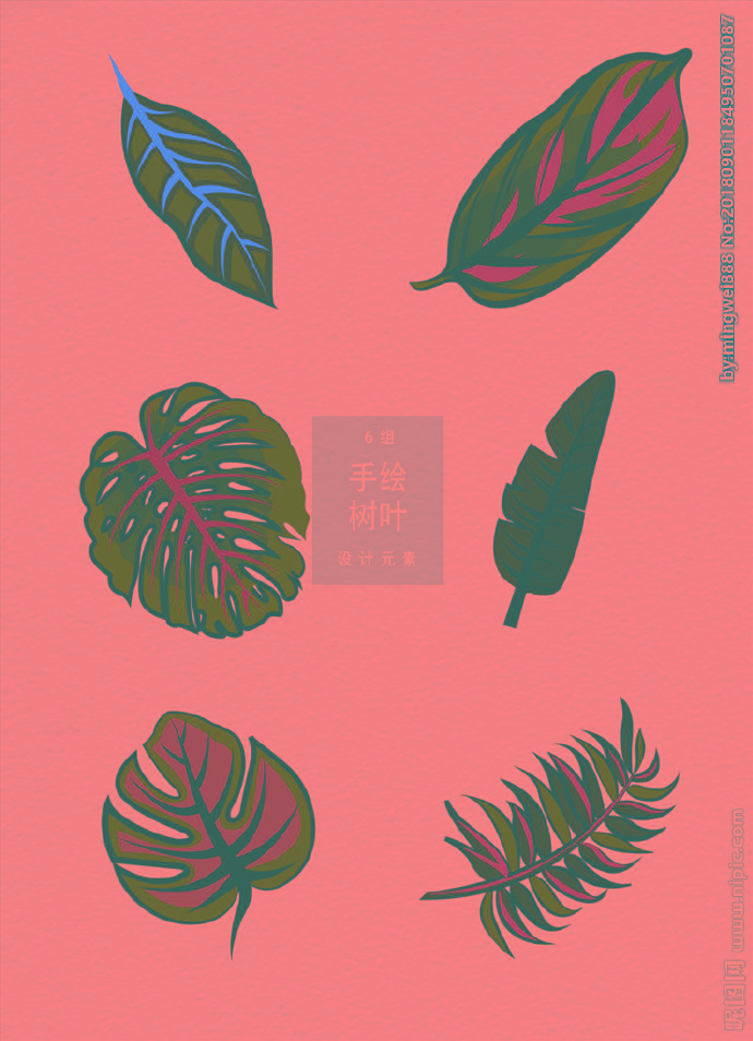 G热带树叶背景墙