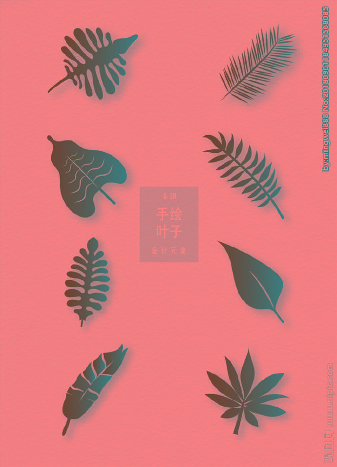 G热带树叶背景墙