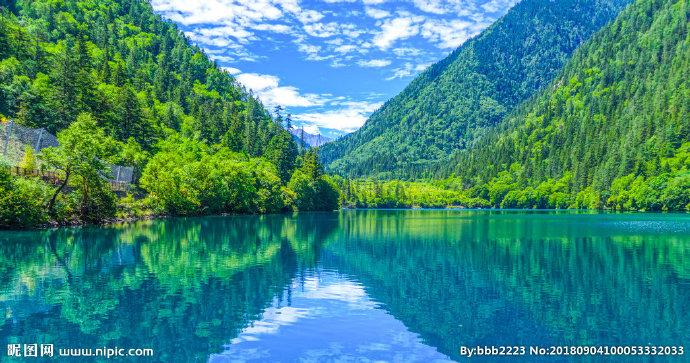 G蓝山绿草背景墙