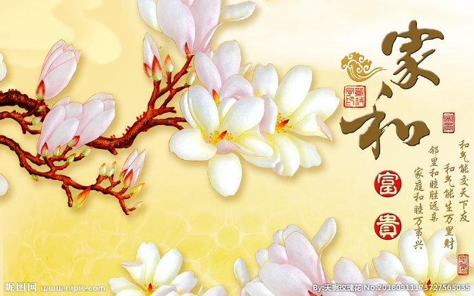 G家和富贵玉兰花