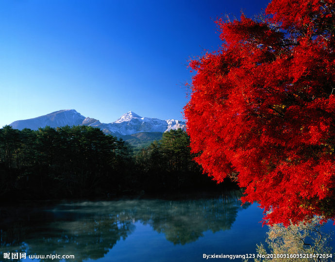 G风景图背景墙风