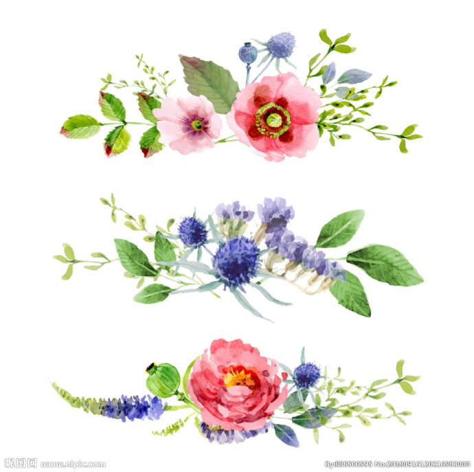 G手绘水墨风鲜花