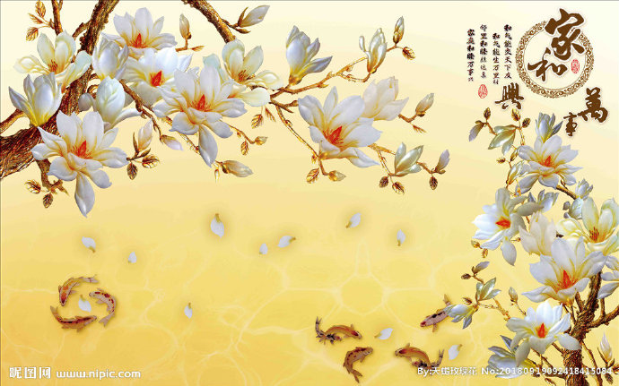 G高清彩雕玉兰花