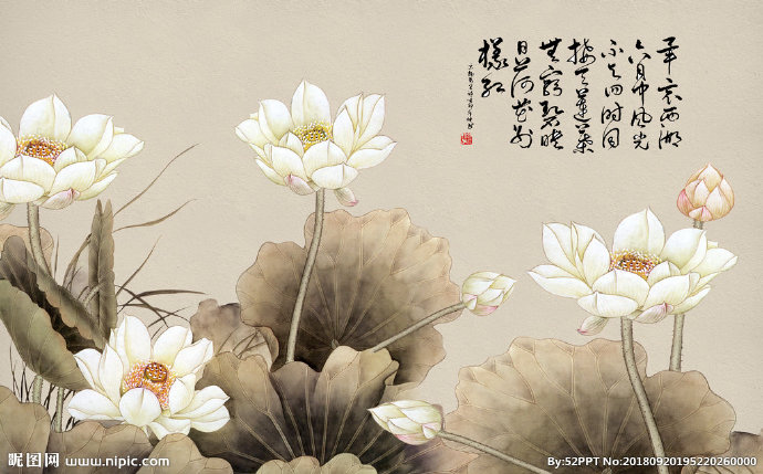 G中式水墨荷花背