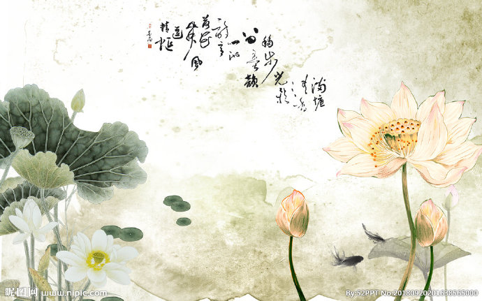 G中式水墨荷花背