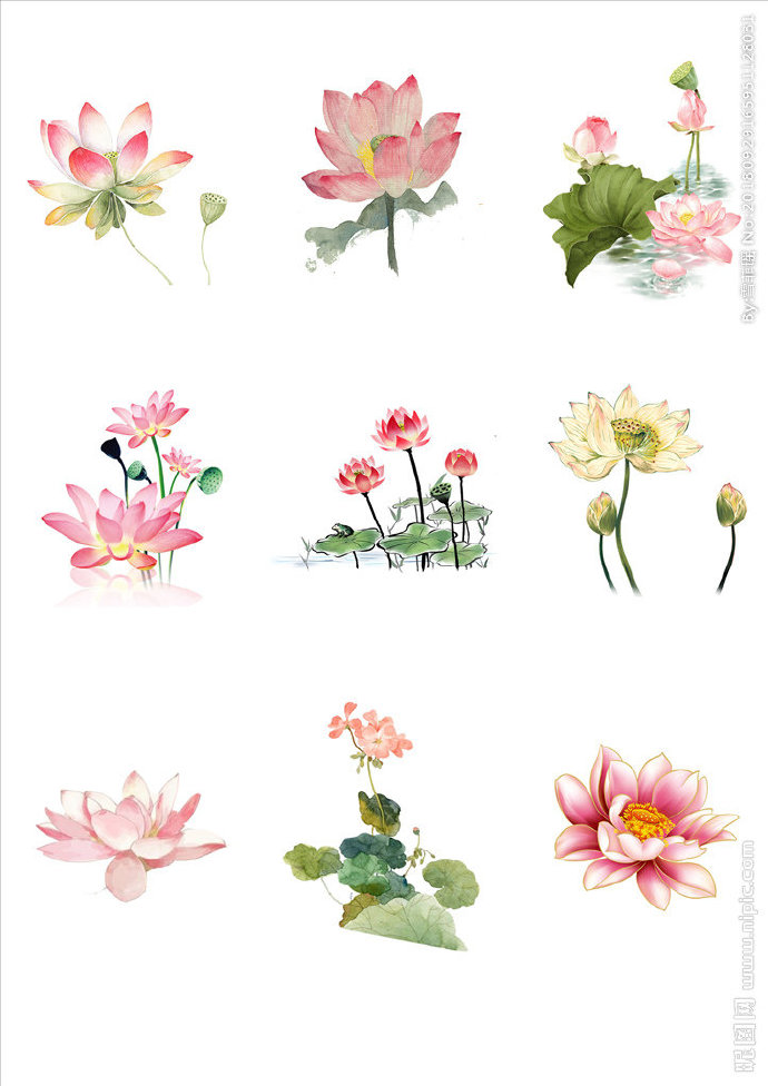 G荷花背景墙莲花