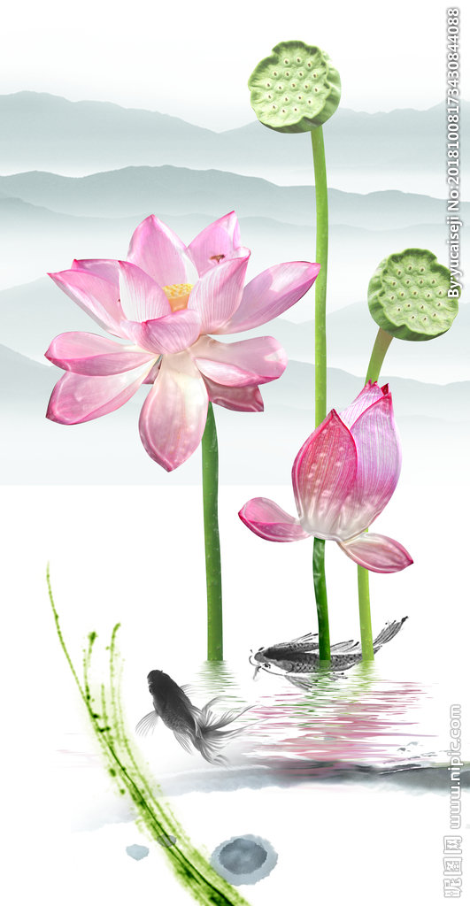 G高清时尚莲花3
