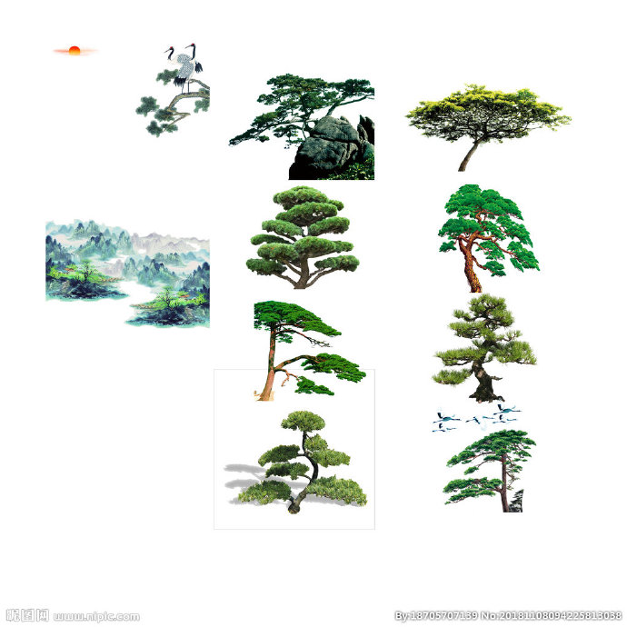 G松树背景墙松树