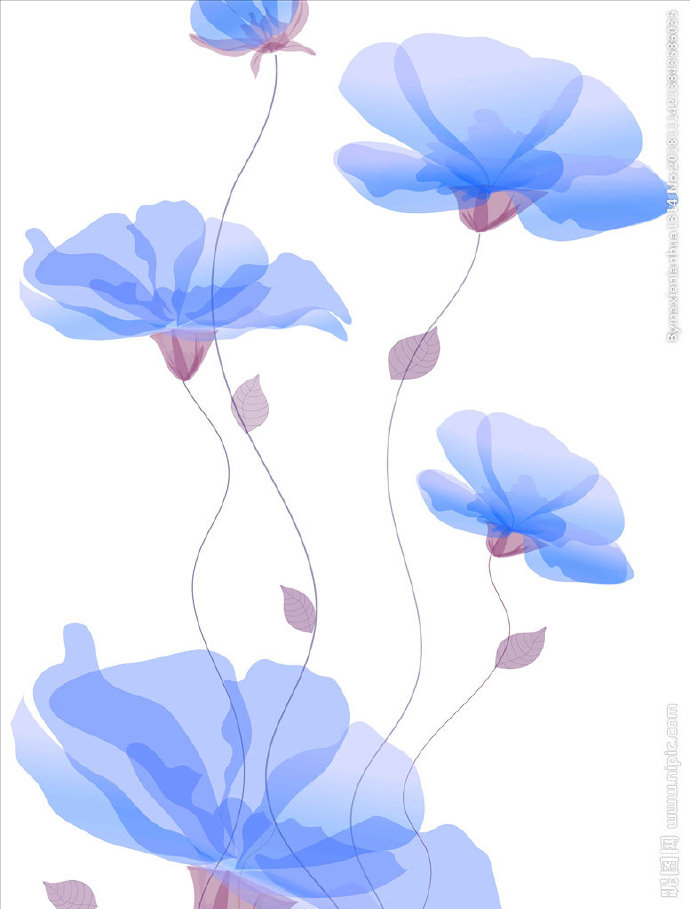 G蓝莲花背景墙荷