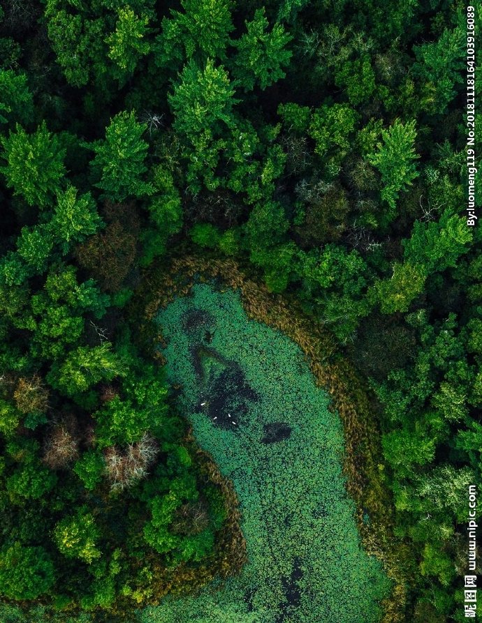 G风景背景墙风景