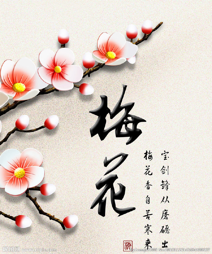 G梅花背景墙梅花