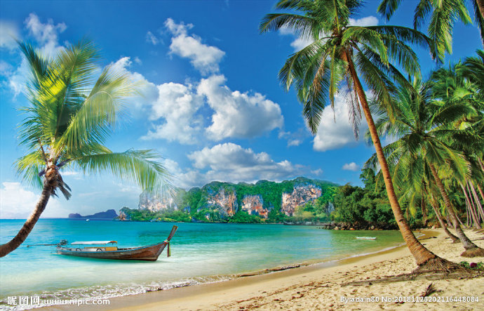 G海滩海边椰树蓝