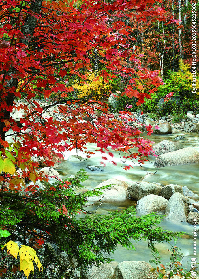 G复古装饰画背景