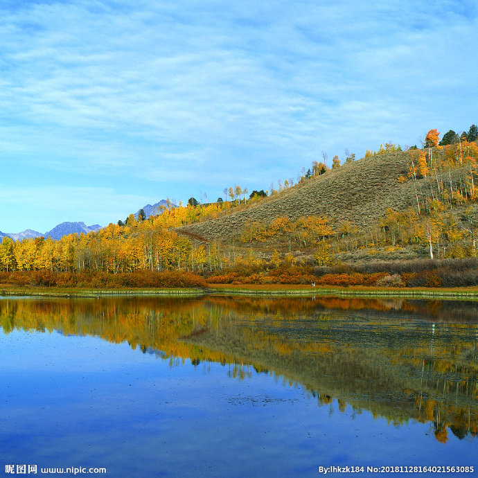 G复古装饰画背景