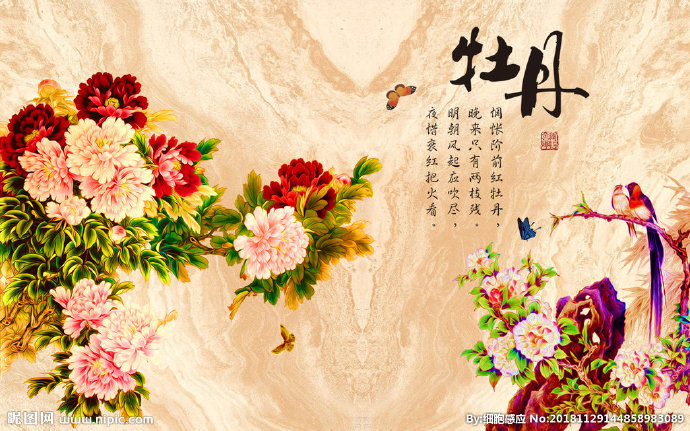 G牡丹富贵花开背
