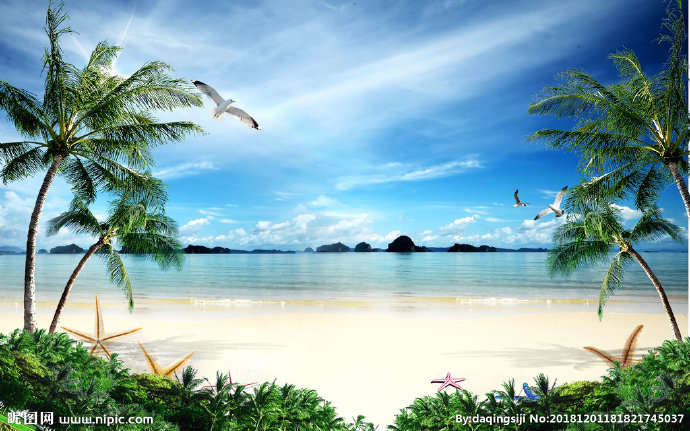 G椰子树海水风景