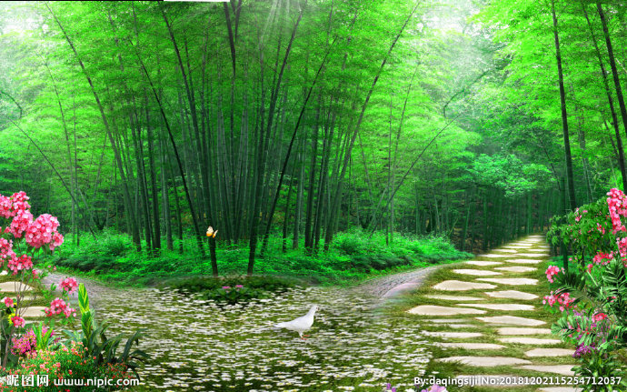 G森林小道风景背