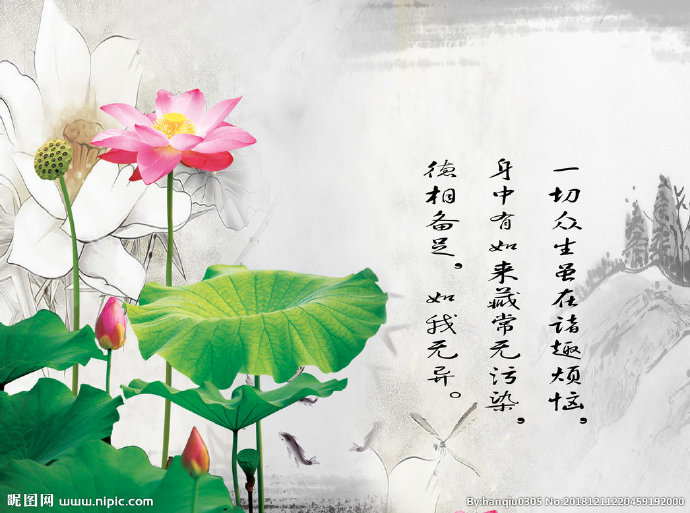 G荷花背景墙莲花
