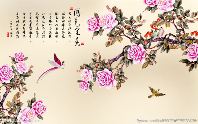G3D牡丹花鸟背