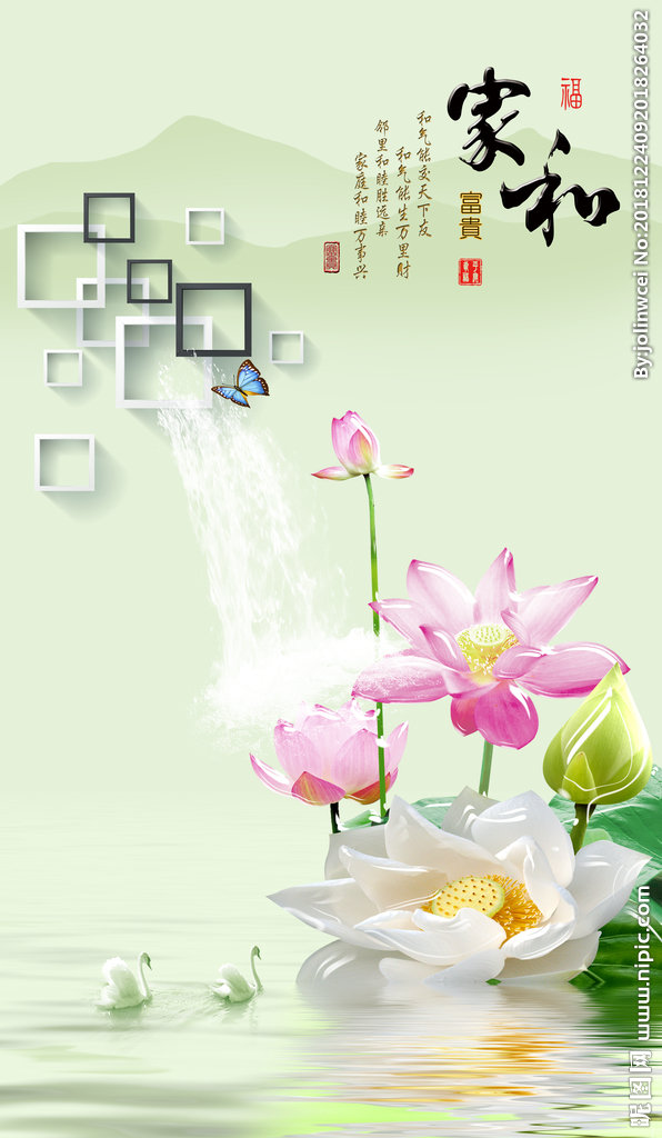 G莲花家和背景墙