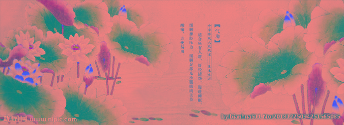 G荷花背景墙莲花