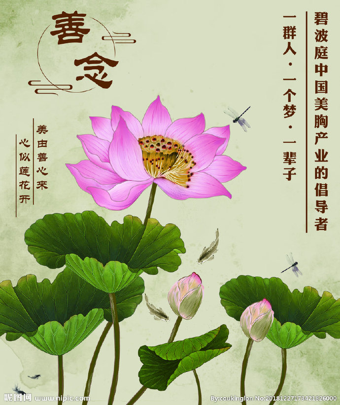 G荷花 善念背景