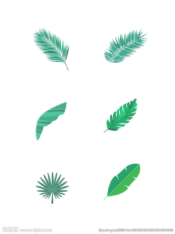 G热带树叶背景墙