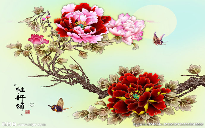 G富贵彩色牡丹花