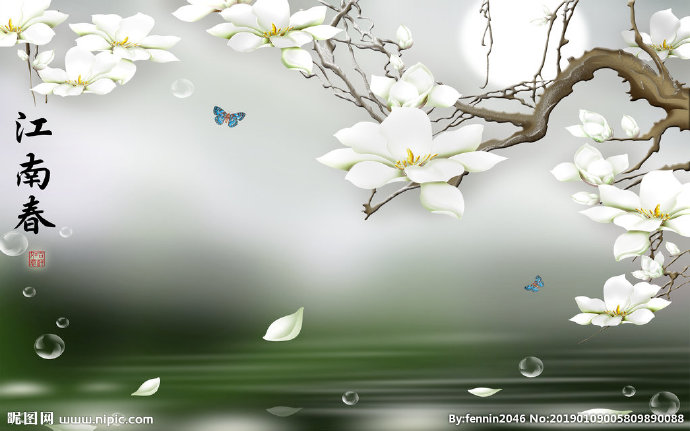 G牡丹花白色背景