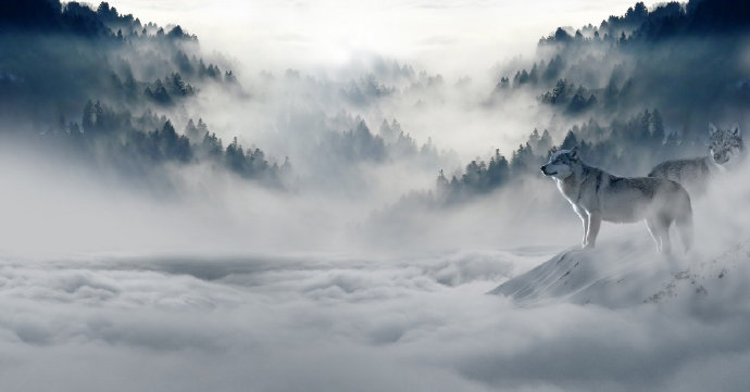 森林山顶狼背景墙