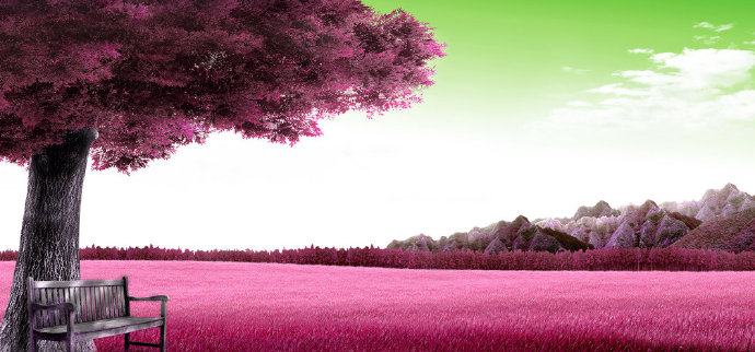 粉色花海中式壁画