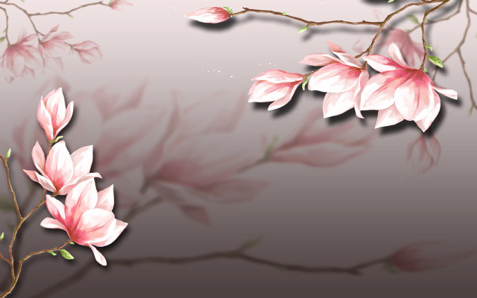 简约木兰花简约电