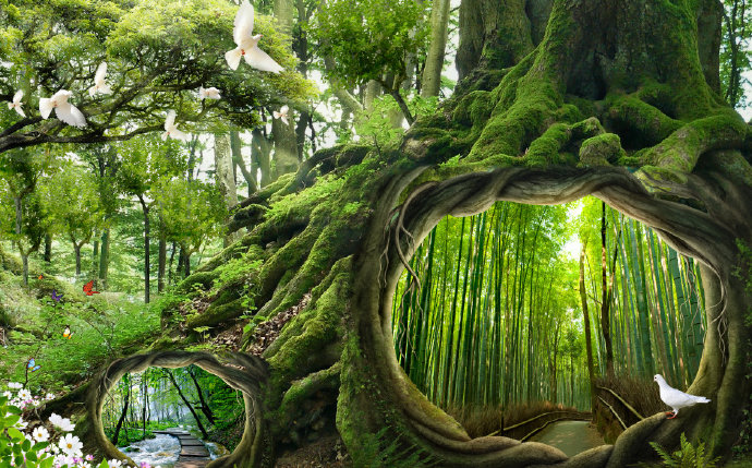 魔幻森林绿色树林