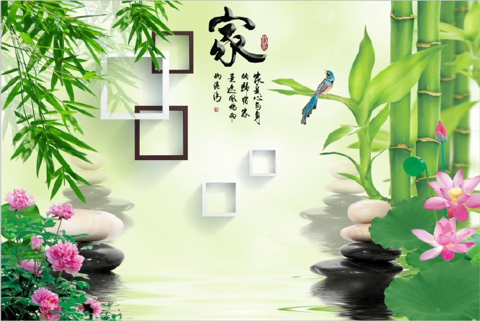 3D立体荷花电视