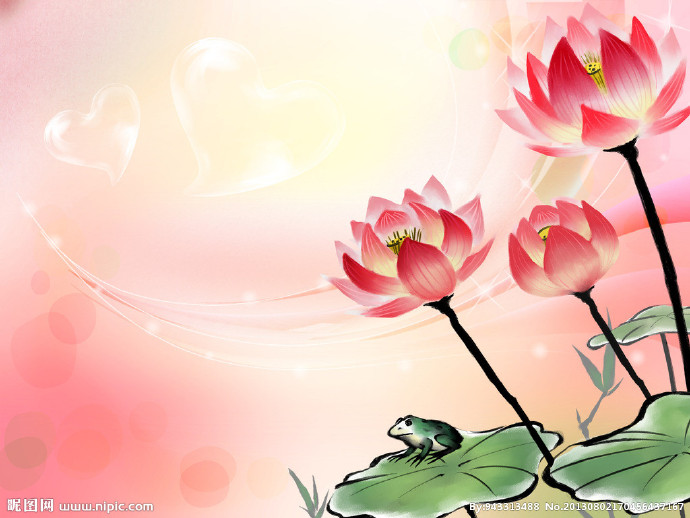 G壁纸壁画 荷花