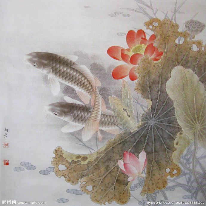G工笔国画荷花鲤