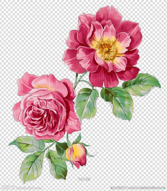 G背景墙花 花纹